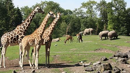 Wildlands Emmen